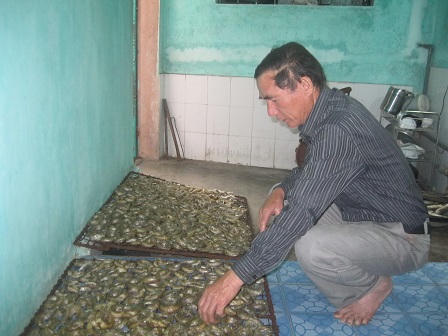 Làng đổi đời nhờ cá “ông trời”